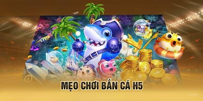 Kinh nghiệm săn cá H5 cực chuẩn nhận được xu khủng