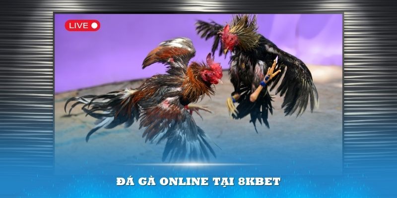 Ảnh đại diện đá gà online